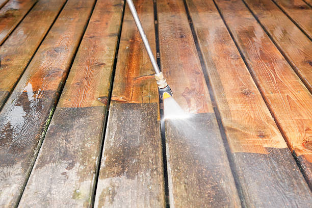Solar Panel Cleaning in North Star, DE